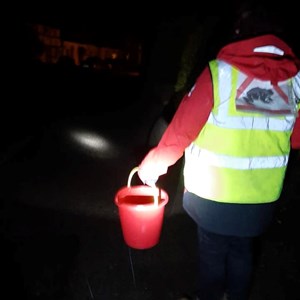 Sustainable Bourne Valley Toad Yearly News