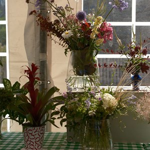 HBT Horticultural Society Photographs 2026