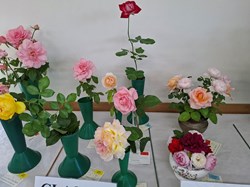 Bucklebury and Marlston Horticultural Society Autumn Show Report 2026