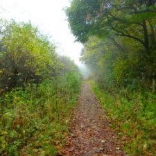 Burghwallis Parish Council Walks Around The Village