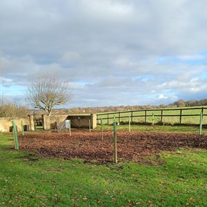 Winchfield Parish Council Tree and Hedgerow Planting