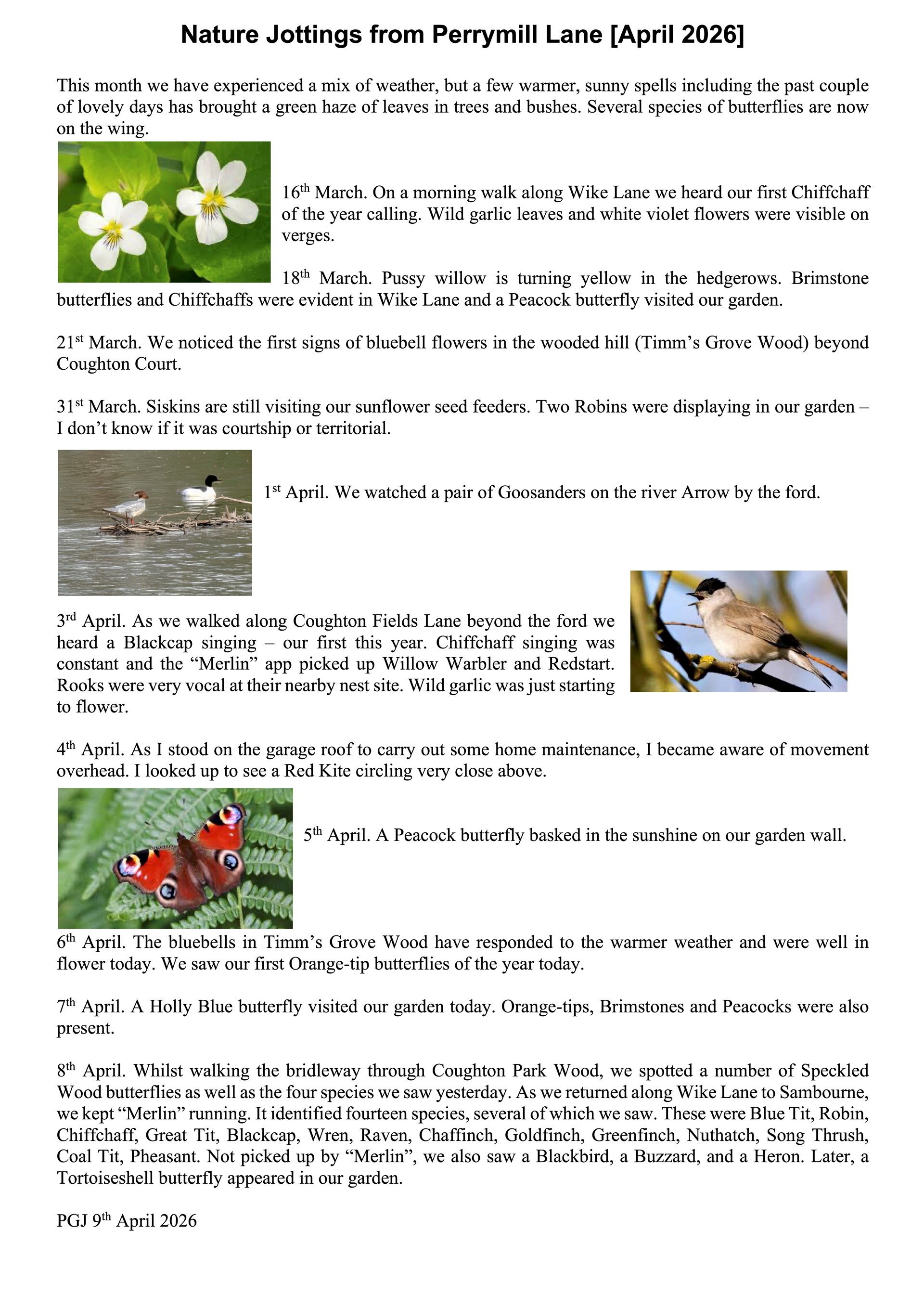Sambourne Parish Council Wildlife sightings in Sambourne Parish