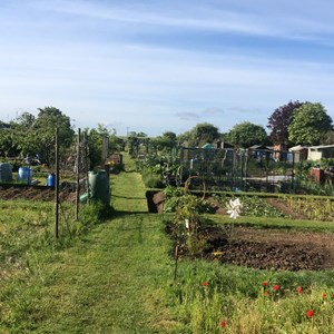 Hoo St Werburgh and Chattenden Parish Council Parish Allotments