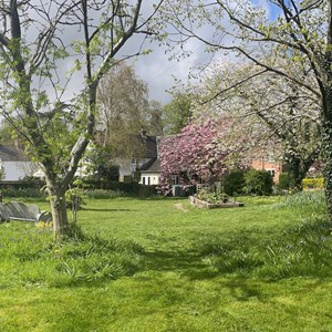 Collies in April - general view