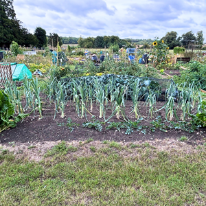 Aston Clinton Parish Council Allotments