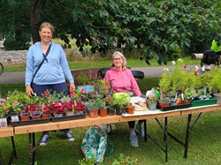Martinstown Village Hall Open Gardens 2025