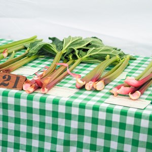 HBT Horticultural Society Photographs 2025