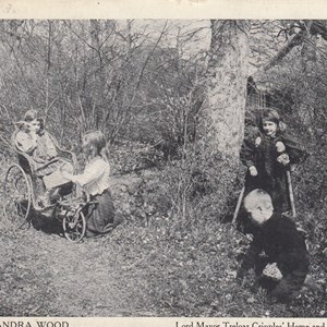 Queen Alexandra Wood ~ Postmarked  27.02.1911