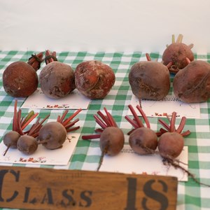 HBT Horticultural Society Photographs 2026
