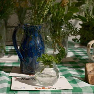 HBT Horticultural Society Photographs 2026