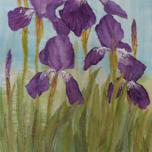 Iris and Limnanthes Painted Silk and Stich by Claire Turner