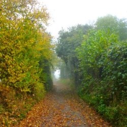 Burghwallis Parish Council Walks Around The Village