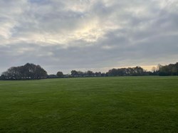 Playing field