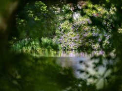 Tendring Parish Council Home