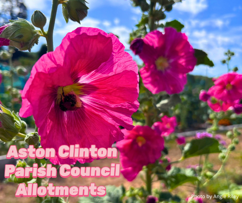 Aston Clinton Parish Council Allotments