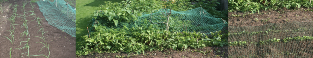 Penton Grafton Parish Council Allotments