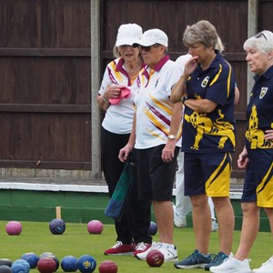 Aldiss Park Bowls Club Ladies 3s Qtr & Semi 2025