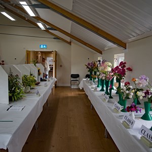 Bucklebury and Marlston Horticultural Society Summer Show Report 2024