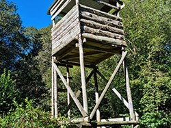 Fire watch tower within Alice Holt Forest. ©BT