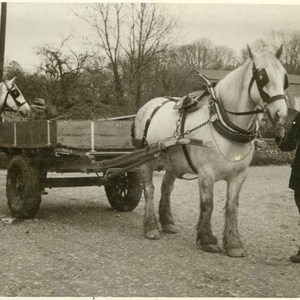 Ernie Collins leading  a horse and cart. By the river bridge on Lippen Lane.