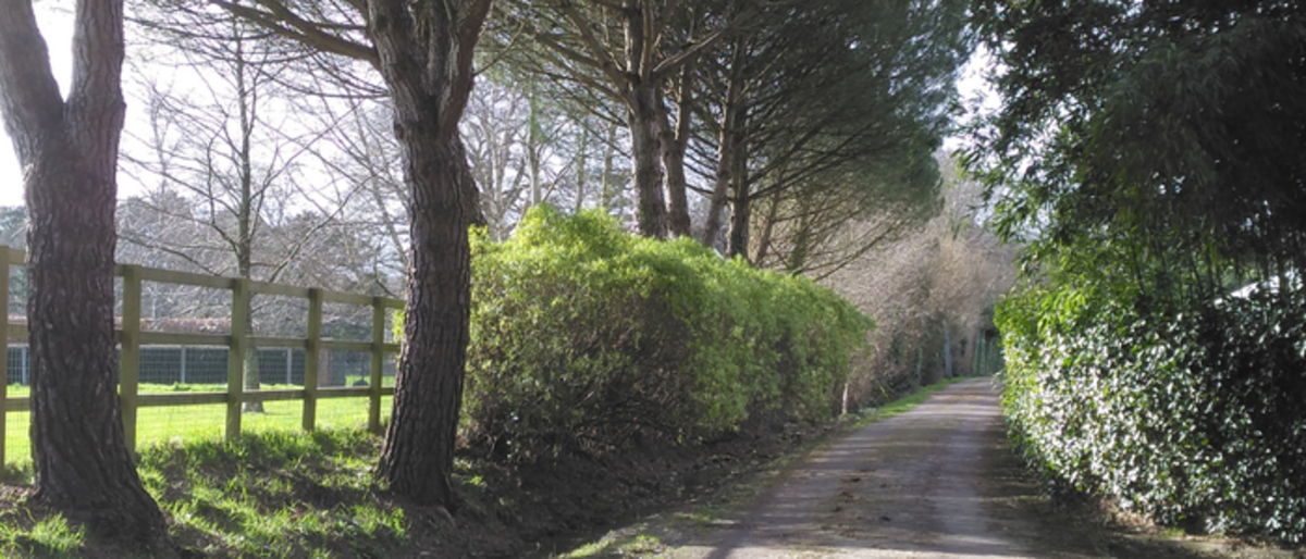 Nuthurst Parish Council Home