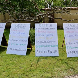 Berwick St James Parish Berwick Village Fayre - 8th June 2025
