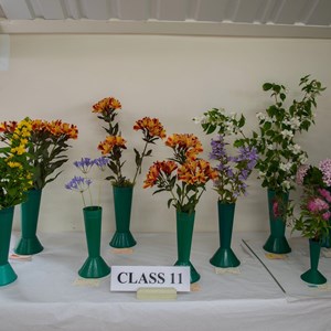 Bucklebury and Marlston Horticultural Society Summer Show Report 2024