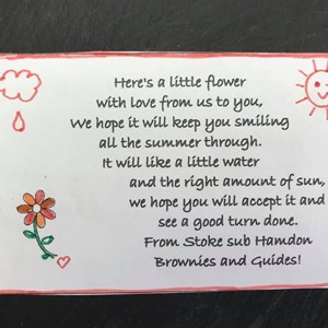 Gift card message from the Brownies when they left pot plants to villagers as a surprise