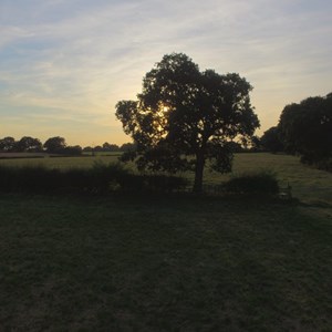 Moston Parish Council Parish Pics