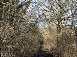 MINTING, GAUTBY & DISTRICT HERITAGE SOCIETY PhotoGallery 2