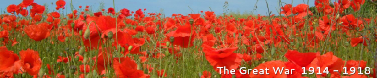 Over Wallop Parish Council History