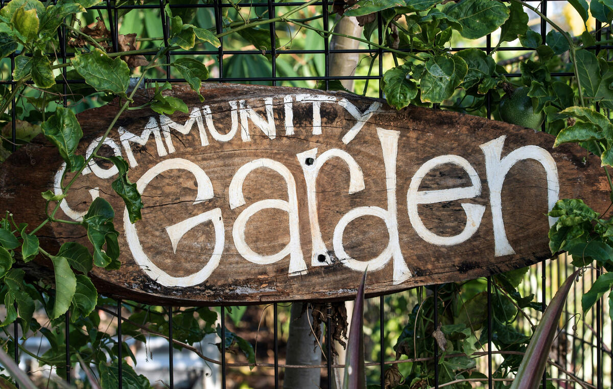 Ellerton & Aughton Community Village Hall Community Garden