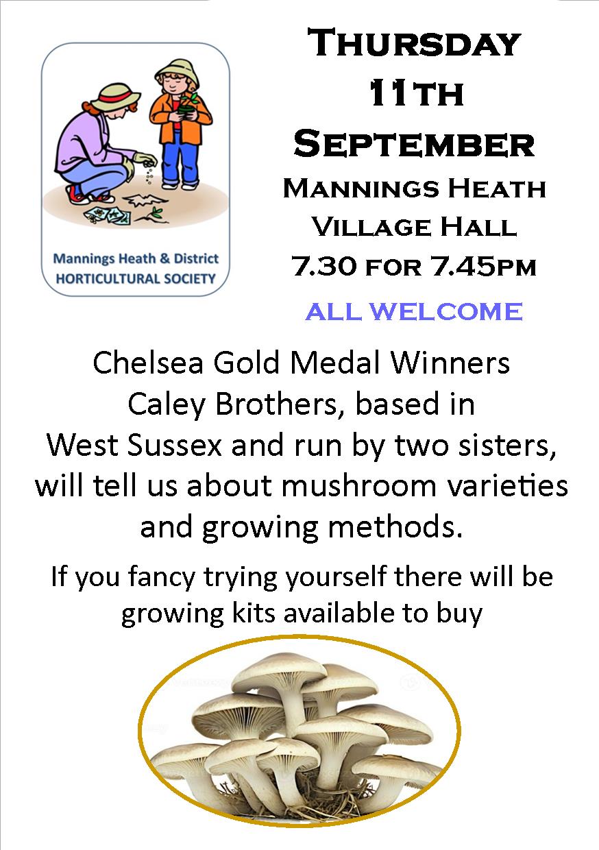 September 2025 Talk: Mushrooms