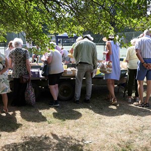 Goodworth Clatford Parish Council  Flower Show  2025 photographs.