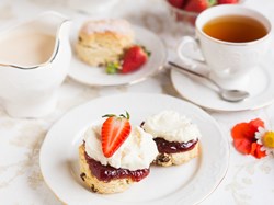 A Cream Tea