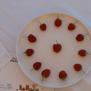 HBT Horticultural Society Photographs 2026