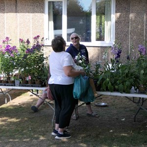 Goodworth Clatford Parish Council  Flower Show  2025 photographs.