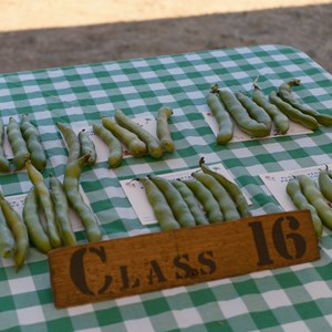 HBT Horticultural Society Photographs 2026