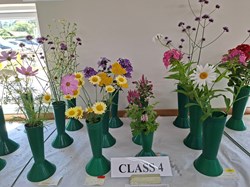 Bucklebury and Marlston Horticultural Society Summer Show 2026