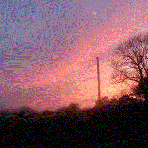 Moston Parish Council Parish Pics