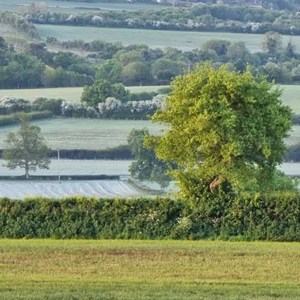 Frosty Day - Simon Andrews