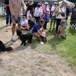 Goodworth Clatford Parish Council  Fete 2026 photos
