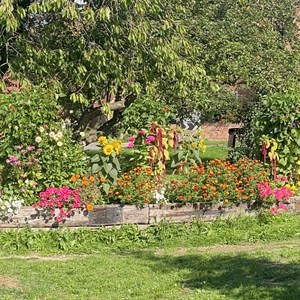 Collies Garden Raised Bed - 15 Sept 2026 (M Trueman)