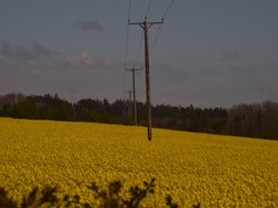 Chollerton Parish Council Home