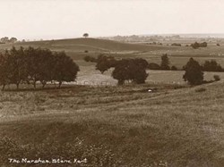 One Tree Hill and across the Marsh
