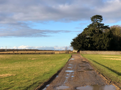 Southorpe Parish Council Home