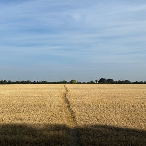 Nether Wallop Parish Council NWPC Photo Gallery