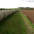 Burghwallis Parish Council Walks Around The Village