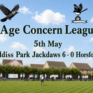 Aldiss Park Bowls Club Home