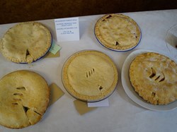 2016 Flower and Produce Show